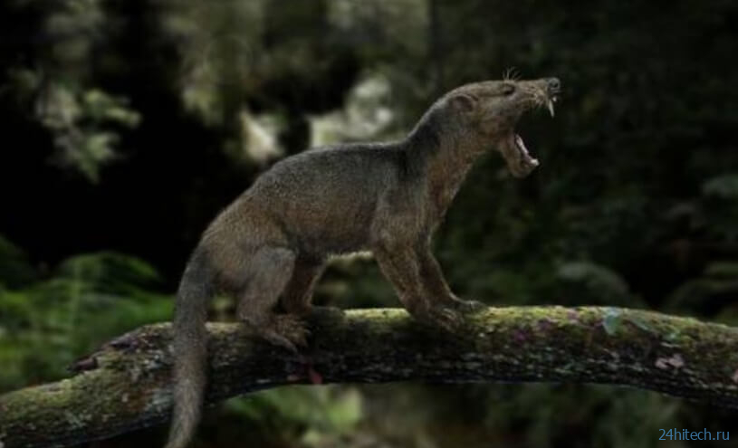 Ученые нашли останки одного из первых «настоящих» хищников в мире
