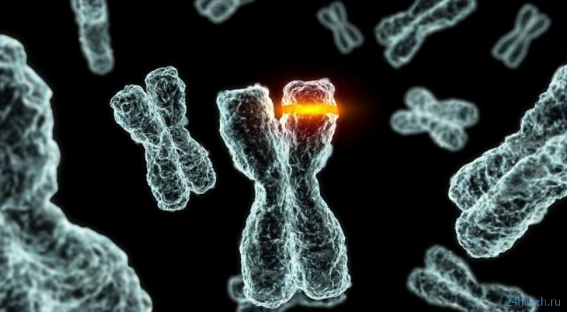 Мутации ДНК влияют на старение организма