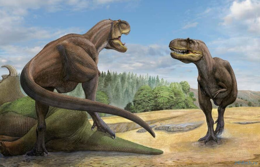 Ученые объяснили, почему у тираннозавров были короткие передние лапы