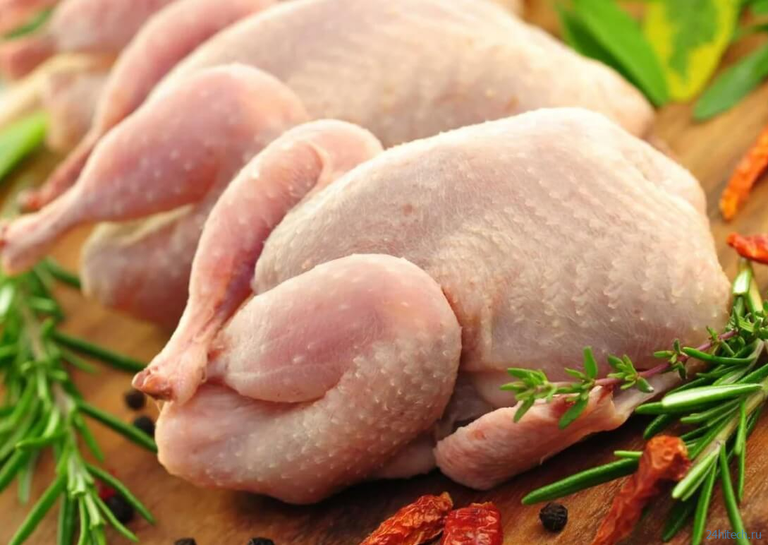 Как производится мясо курицы и почему оно становится дороже говядины?