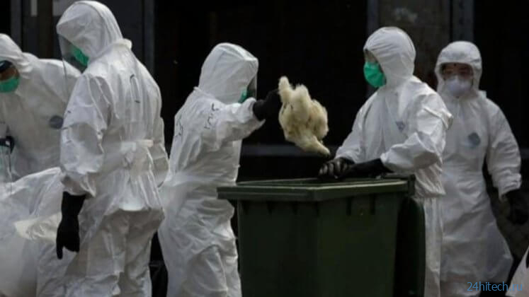 В Китае зафиксирован первый случай заражения человека штаммом птичьего гриппа H3N8