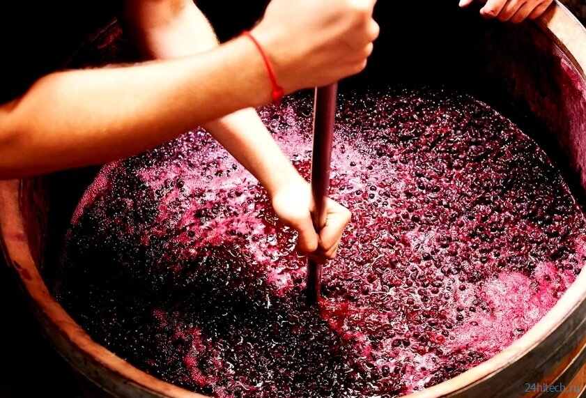 Что такое «порошковое вино» и почему оно не хуже обычного?