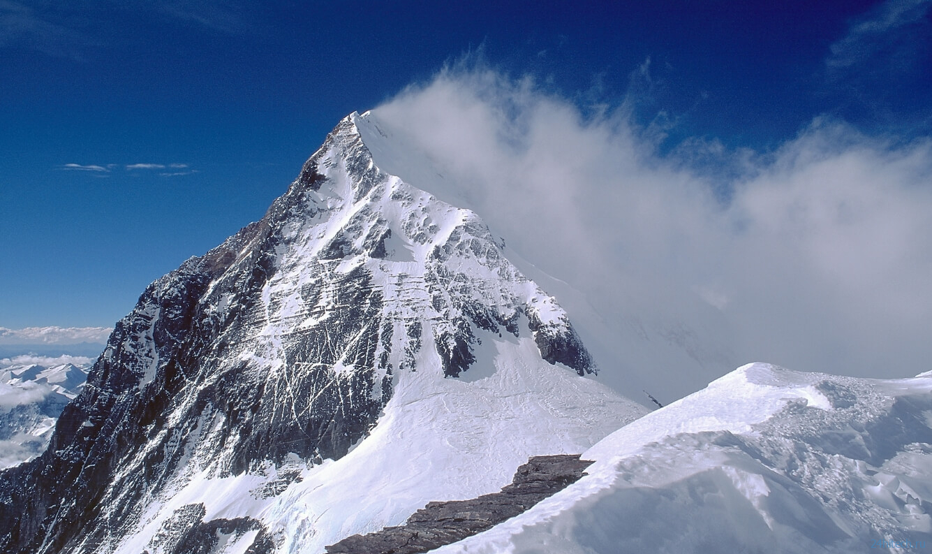 Какие животные обитают на Эвересте — самой высокой точке Земли