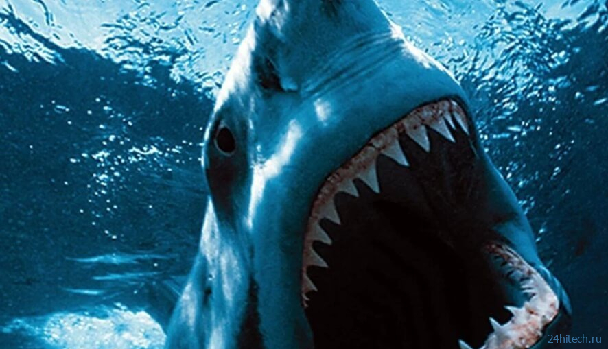 В Австралии выловили жуткую, неизвестную ранее акулу с человеческой улыбкой