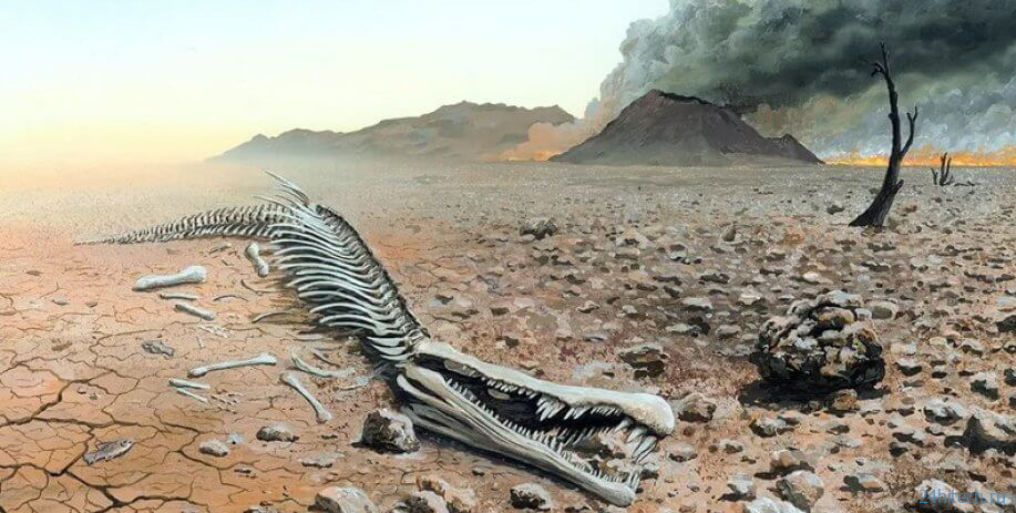Ученые обнаружили шестое массовое вымирание в древнем прошлом Земли