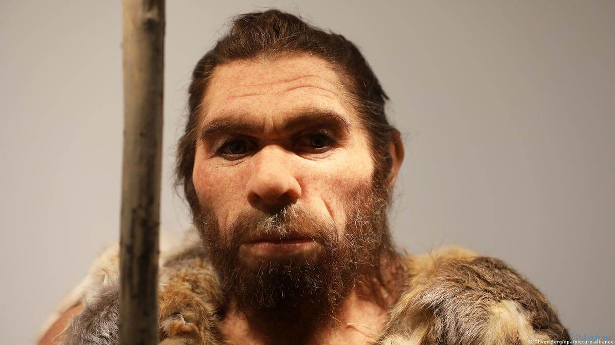Неандертальцы вымерли из-за любви к современным женщинам?