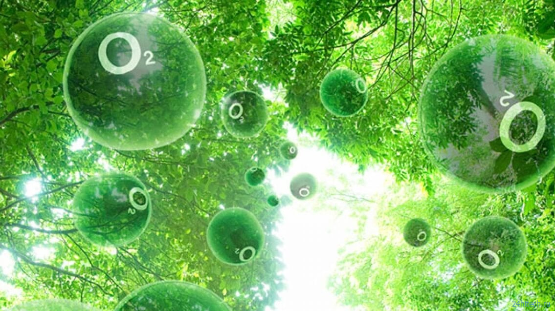 Как искусственный фотосинтез обеспечит человечество природным газом