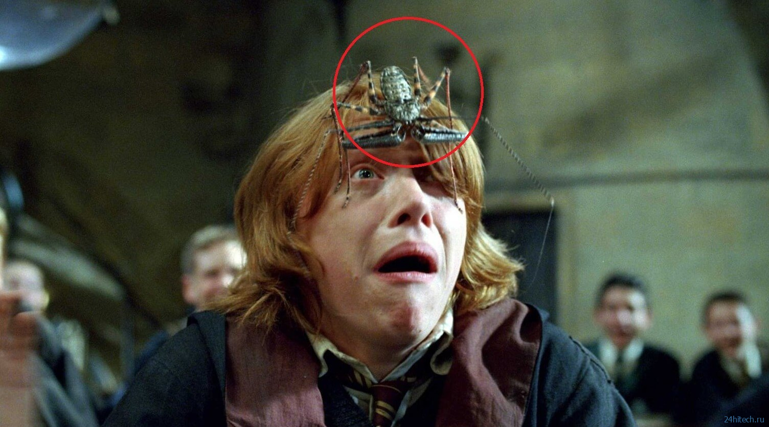 Фрины — ужасные существа из «Гарри Поттера», которые существуют в реальности