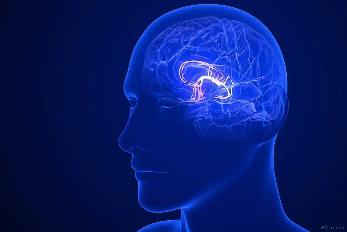 Из-за чего возникает мигрень — возможно, причина в аномалиях мозга