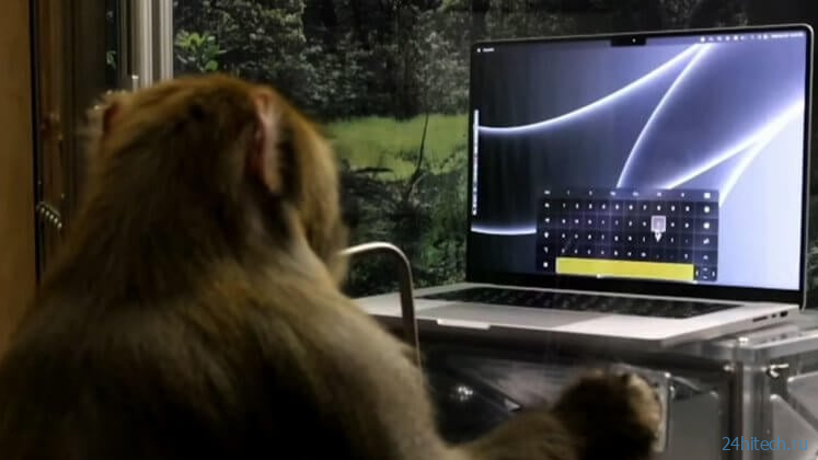 Компания Neuralink показала как чипированная обезьяна печатает на компьютере