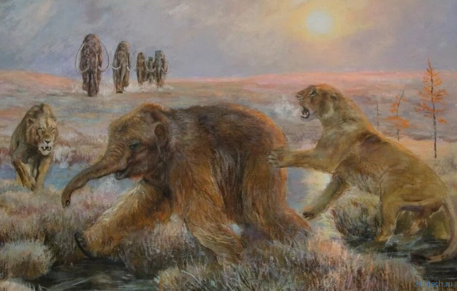 Как жили пещерные львы в Сибири и можно ли их клонировать