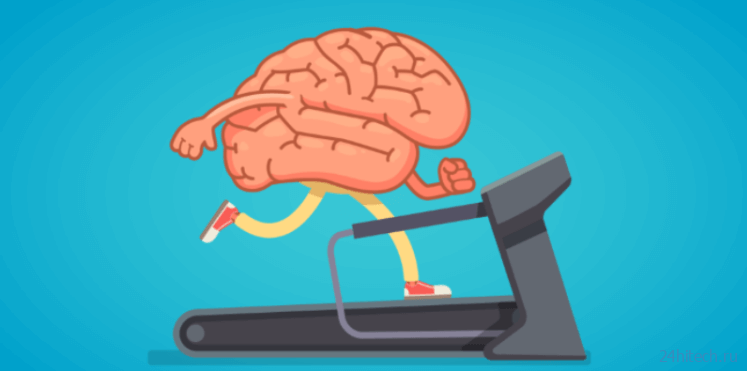 Всего 6 минут занятий спортом улучшают работу мозга, и вот почему