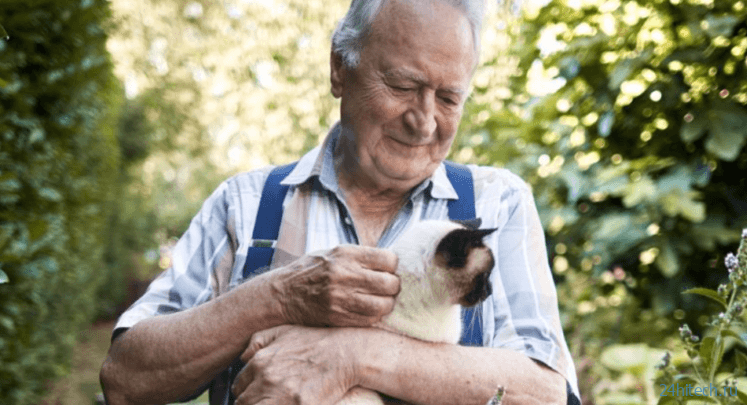 Домашние животные защищают мозг от старения