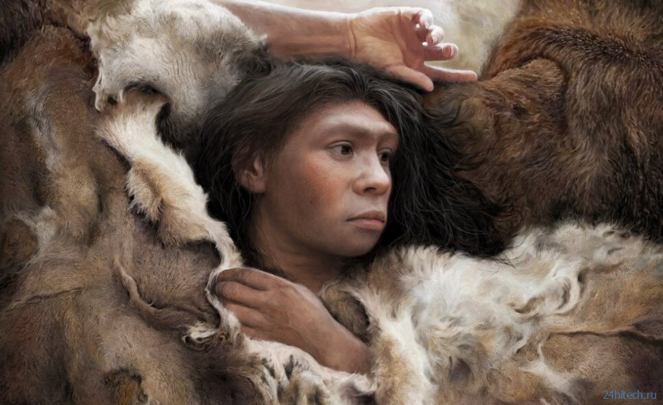 Порезы на костях показали, во что одевались древние люди 320 000 лет назад