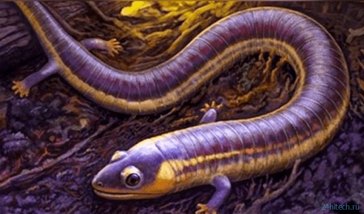 Ученые раскрыли секрет происхождения амфибий по окаменелости древнего червя