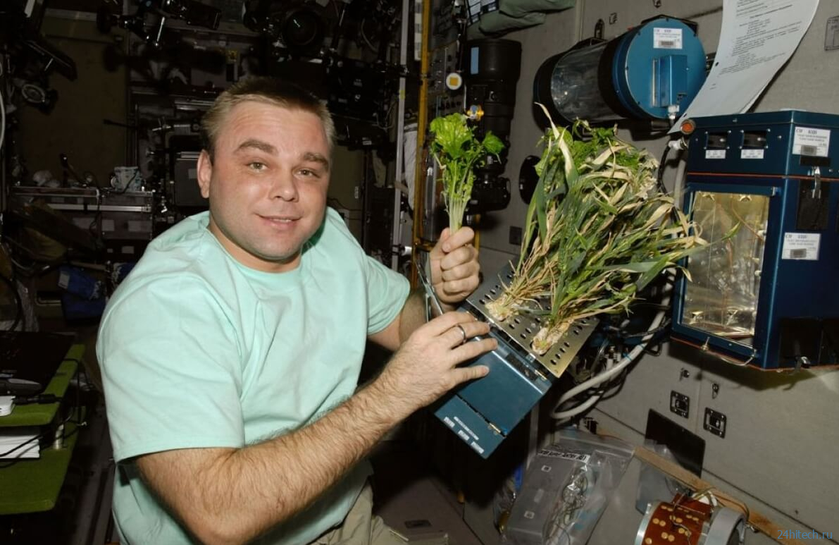 Стал известен рецепт блюда, который могут приготовить даже космонавты