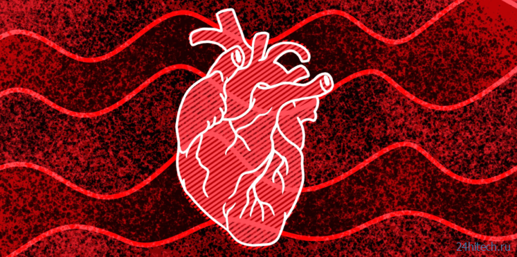 На восприятие времени влияет частота сердечных сокращений