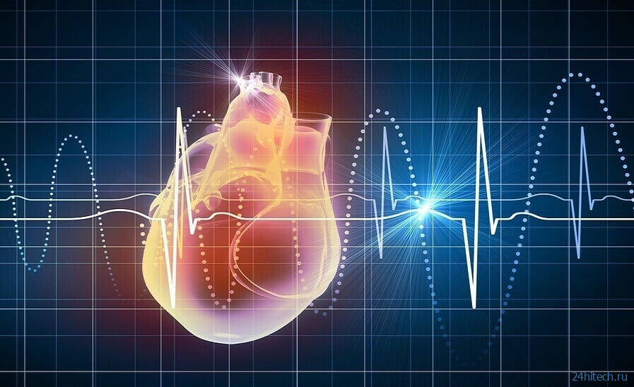 На восприятие времени влияет частота сердечных сокращений