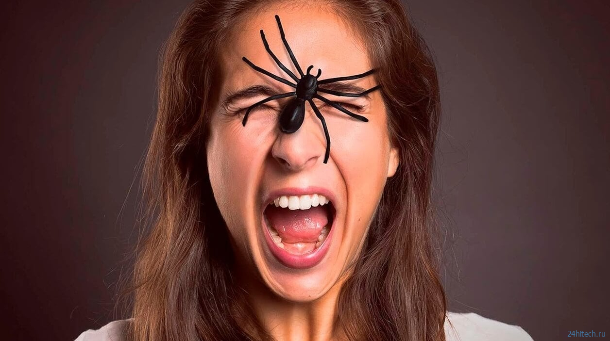 Ученые объяснили, почему люди не должны бояться пауков