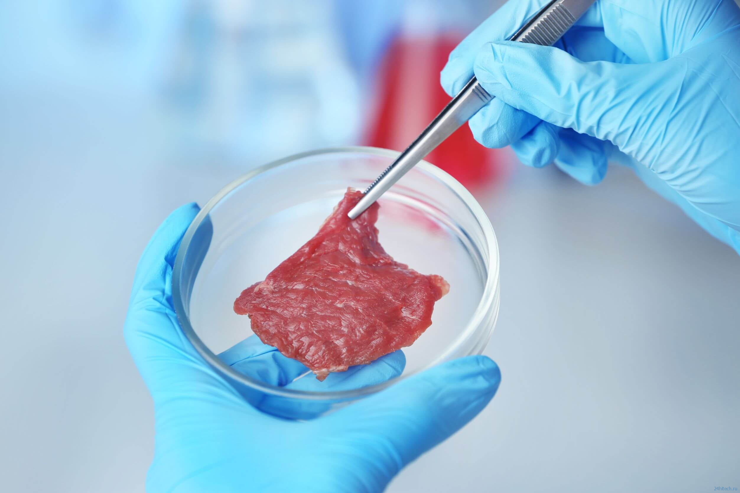 Сможет ли выращенное в лаборатории мясо заменить настоящее?