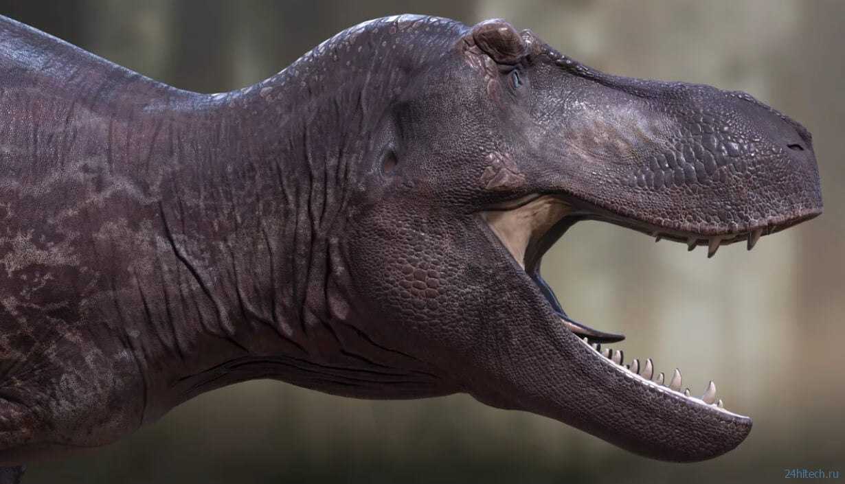 Сколько тираннозавров жило на Земле — опубликованы самые точные данные