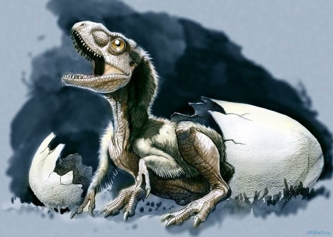 Сколько тираннозавров жило на Земле — опубликованы самые точные данные