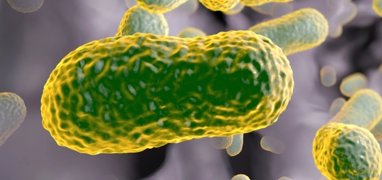 Давно забытый антибиотик может спасти людей от супербактерий