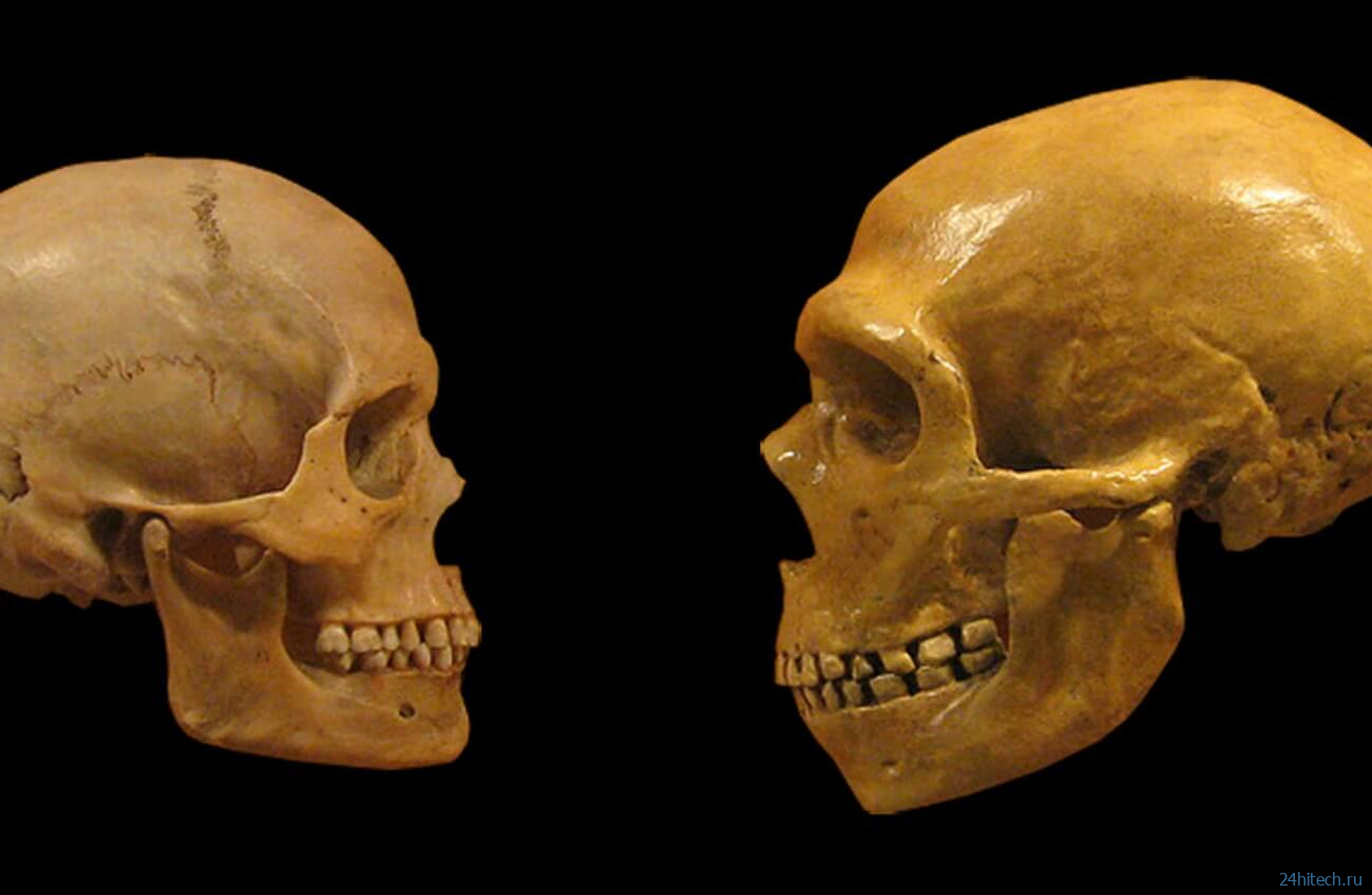 Почему у древних людей были идеально ровные зубы