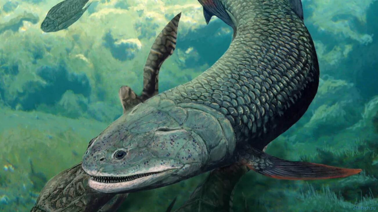 В самой древней реке в мире найдены останки зубастой рыбы с двумя органами дыхания