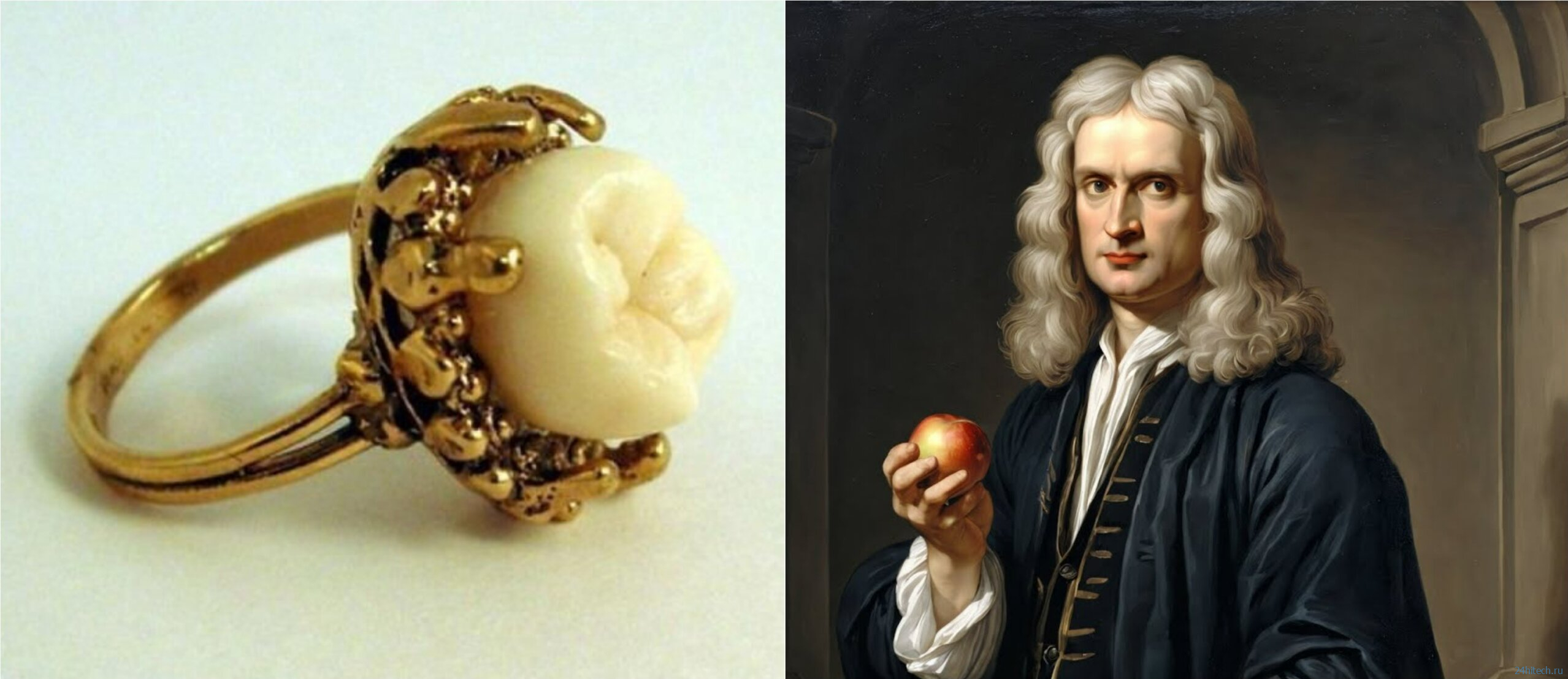 Зуб Ньютона вставили в кольцо — теперь он стоит 62 000 долларов Зуб Ньютона вставили в кольцо — теперь он стоит 62 000 долларов