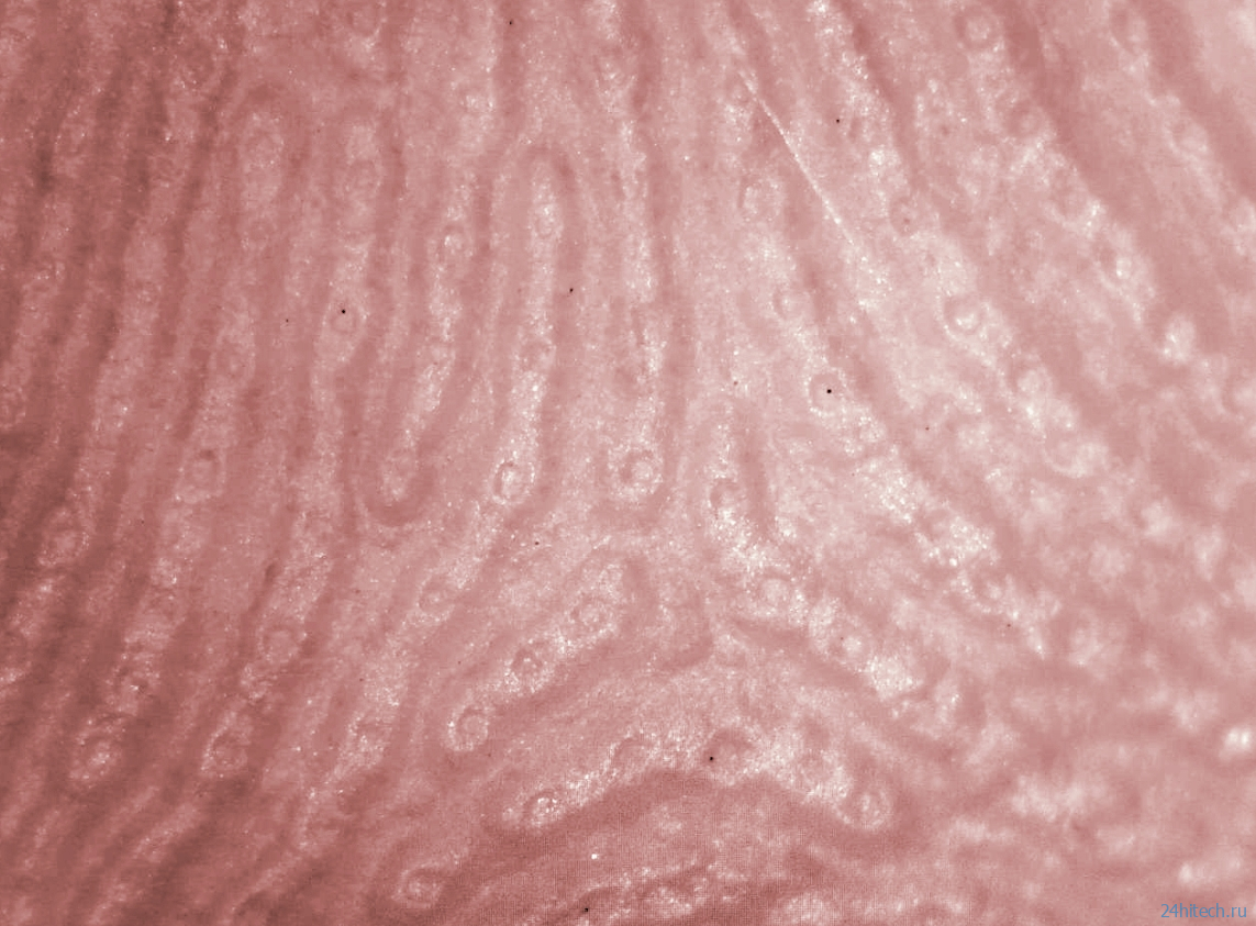 Почему пот воняет именно в подмышках? Почему пот воняет именно в подмышках?