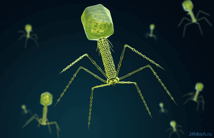 Вирусы могут спасти от экологической катастрофы при добыче ископаемых Вирусы могут спасти от экологической катастрофы при добыче ископаемых