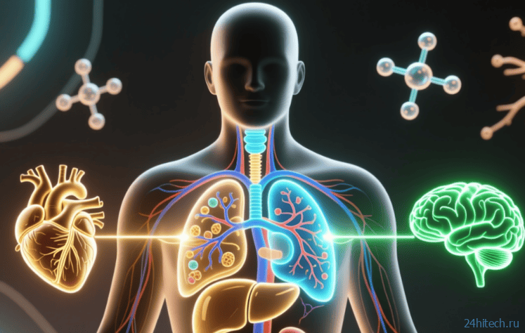 Появился препарат для восстановления ДНК и регенерации поврежденных тканей Появился препарат для восстановления ДНК и регенерации поврежденных тканей