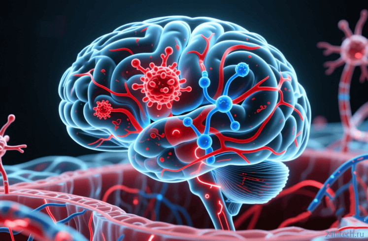 Как самый популярный подсластитель аспартам влияет на мозг и сердце Как самый популярный подсластитель аспартам влияет на мозг и сердце