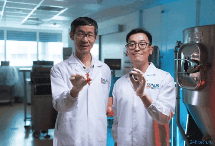 Производители шоколада скоро могут отказаться от какао, и станет только лучше Производители шоколада скоро могут отказаться от какао, и станет только лучше