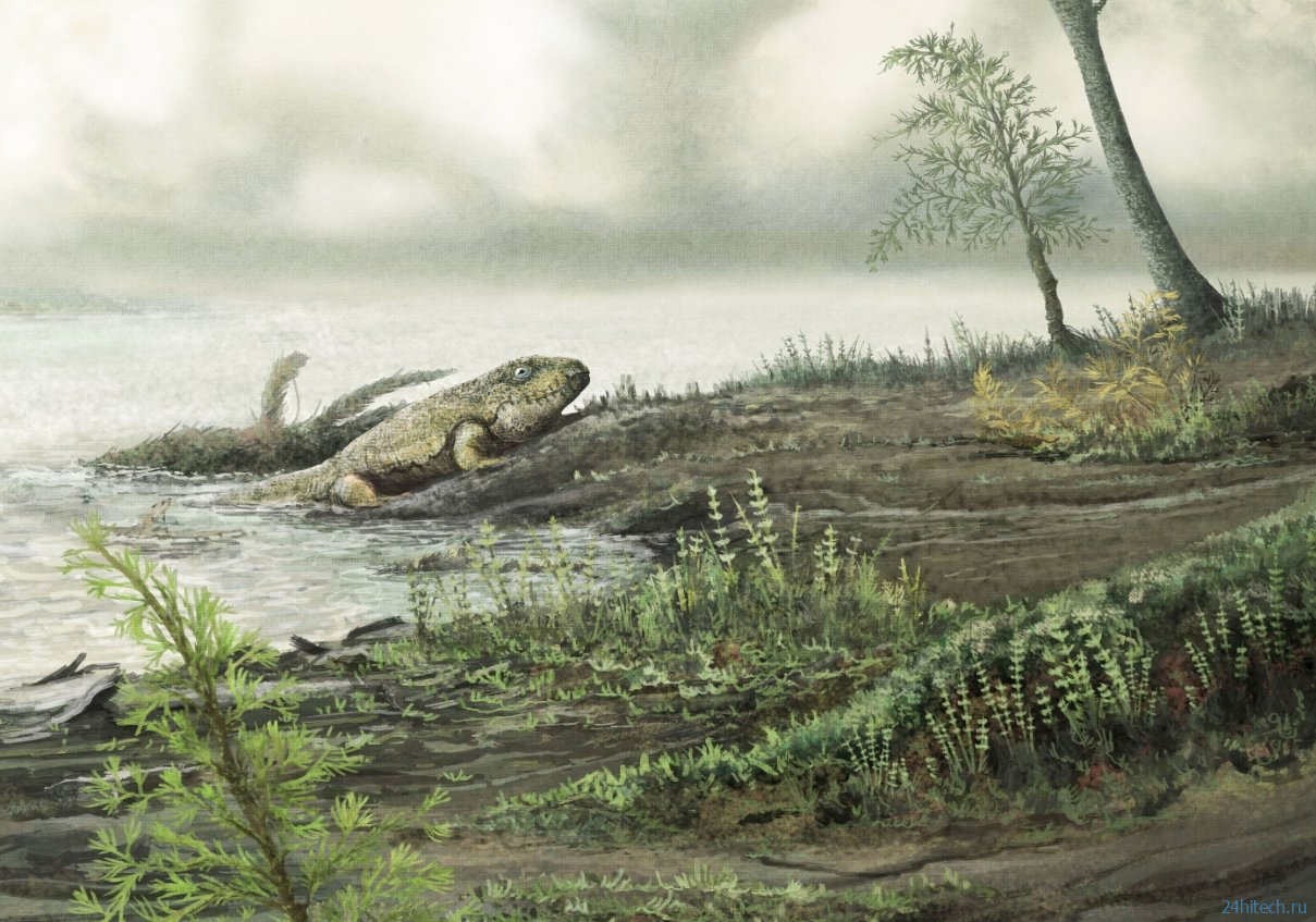 Почему у нас по 5 пальцев на руках и ногах? Почему у нас по 5 пальцев на руках и ногах?