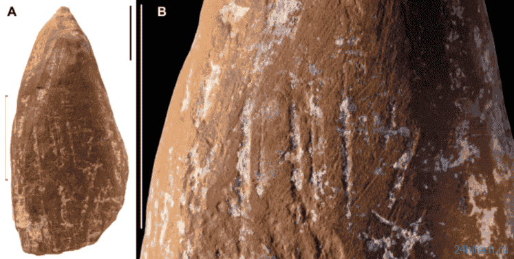 Как искусство появилось еще во времена неандертальцев, и чем они рисовали Как искусство появилось еще во времена неандертальцев, и чем они рисовали