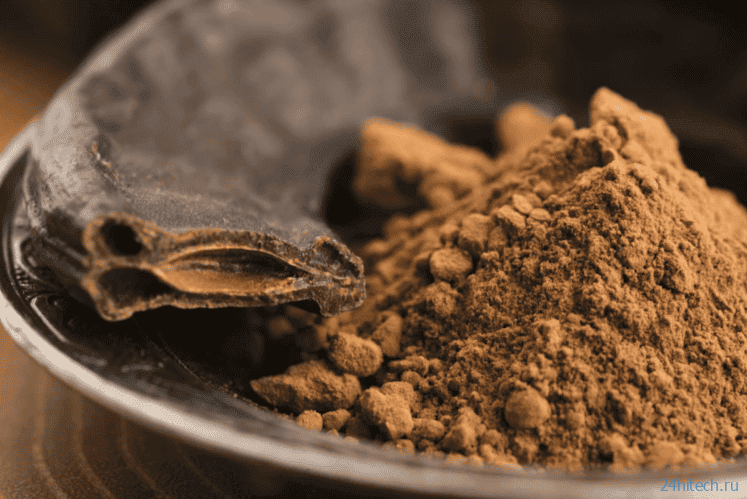 Производители шоколада скоро могут отказаться от какао, и станет только лучше Производители шоколада скоро могут отказаться от какао, и станет только лучше