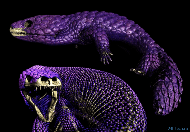 Эти ящерицы меняют фундаментальный закон эволюции Эти ящерицы меняют фундаментальный закон эволюции