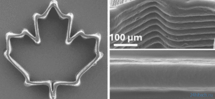 Как хоботок комара и 3D-печать изменят медицину и промышленность будущего Как хоботок комара и 3D-печать изменят медицину и промышленность будущего