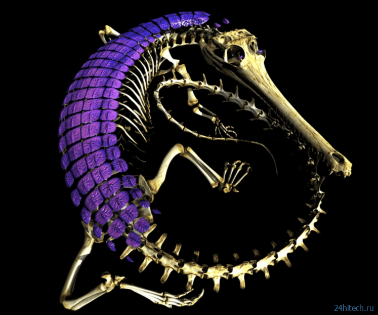 Эти ящерицы меняют фундаментальный закон эволюции Эти ящерицы меняют фундаментальный закон эволюции