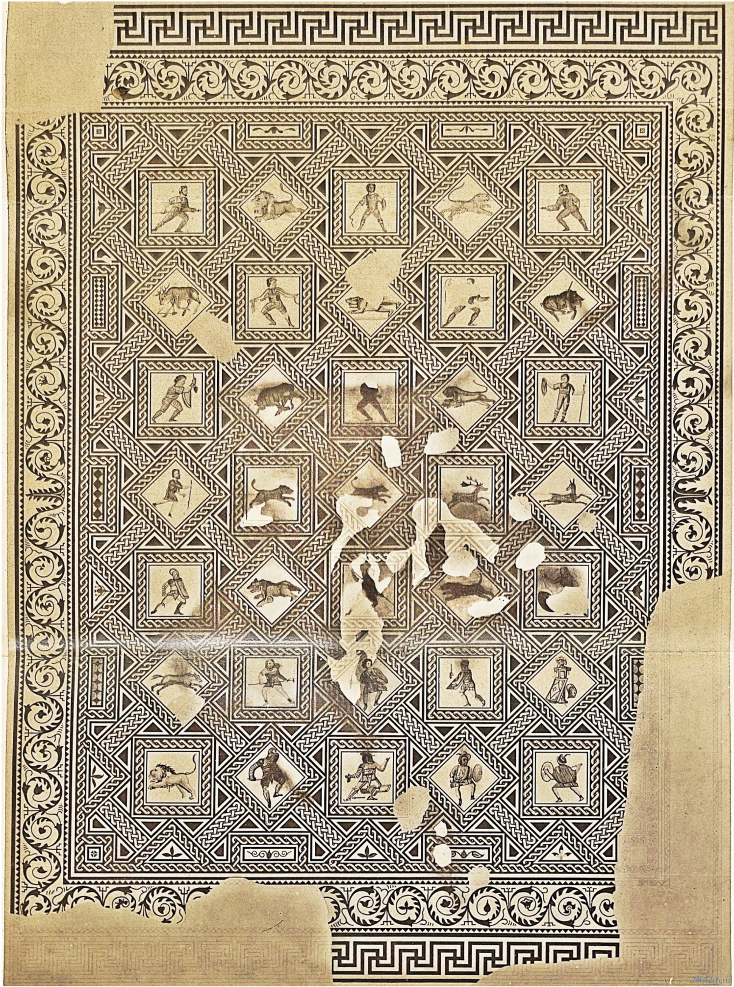 Женщины в Древнем Риме сражались на арене: найдено доказательство, которое всё меняет Женщины в Древнем Риме сражались на арене: найдено доказательство, которое всё меняет