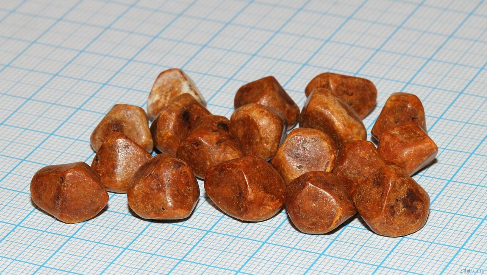 Как россияне продают желчные камни и зарабатывают большие деньги Как россияне продают желчные камни и зарабатывают большие деньги