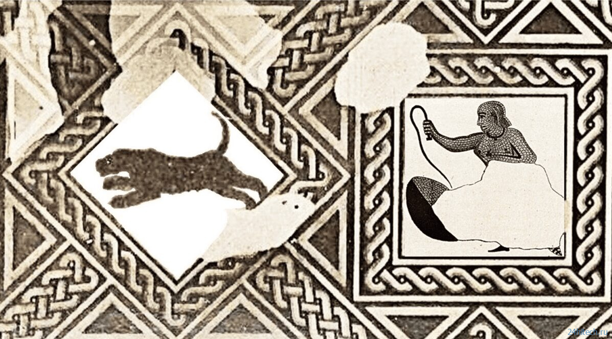 Женщины в Древнем Риме сражались на арене: найдено доказательство, которое всё меняет Женщины в Древнем Риме сражались на арене: найдено доказательство, которое всё меняет