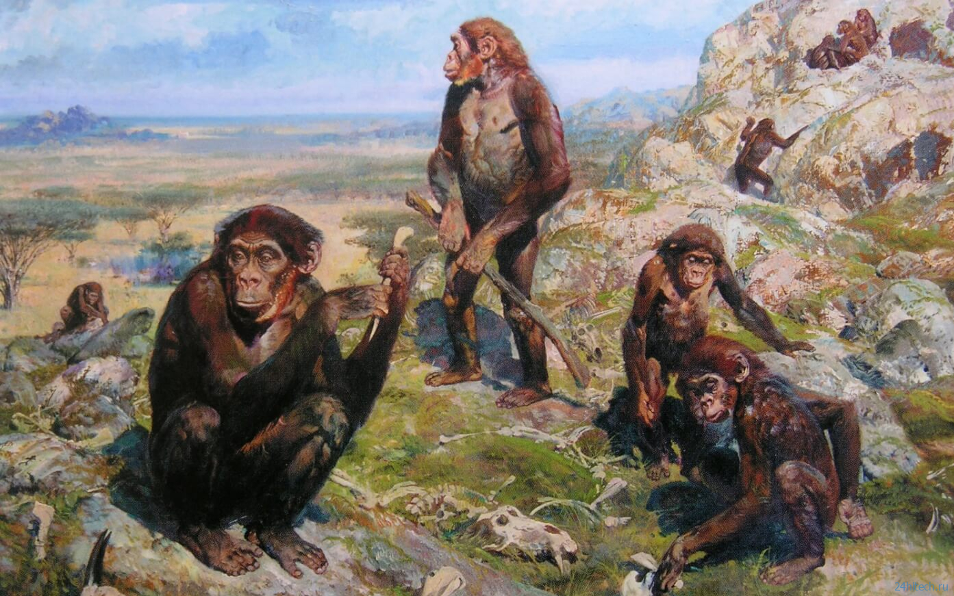 Открыто новое свойство волос на теле человека — это часть наших органов чувств Открыто новое свойство волос на теле человека — это часть наших органов чувств