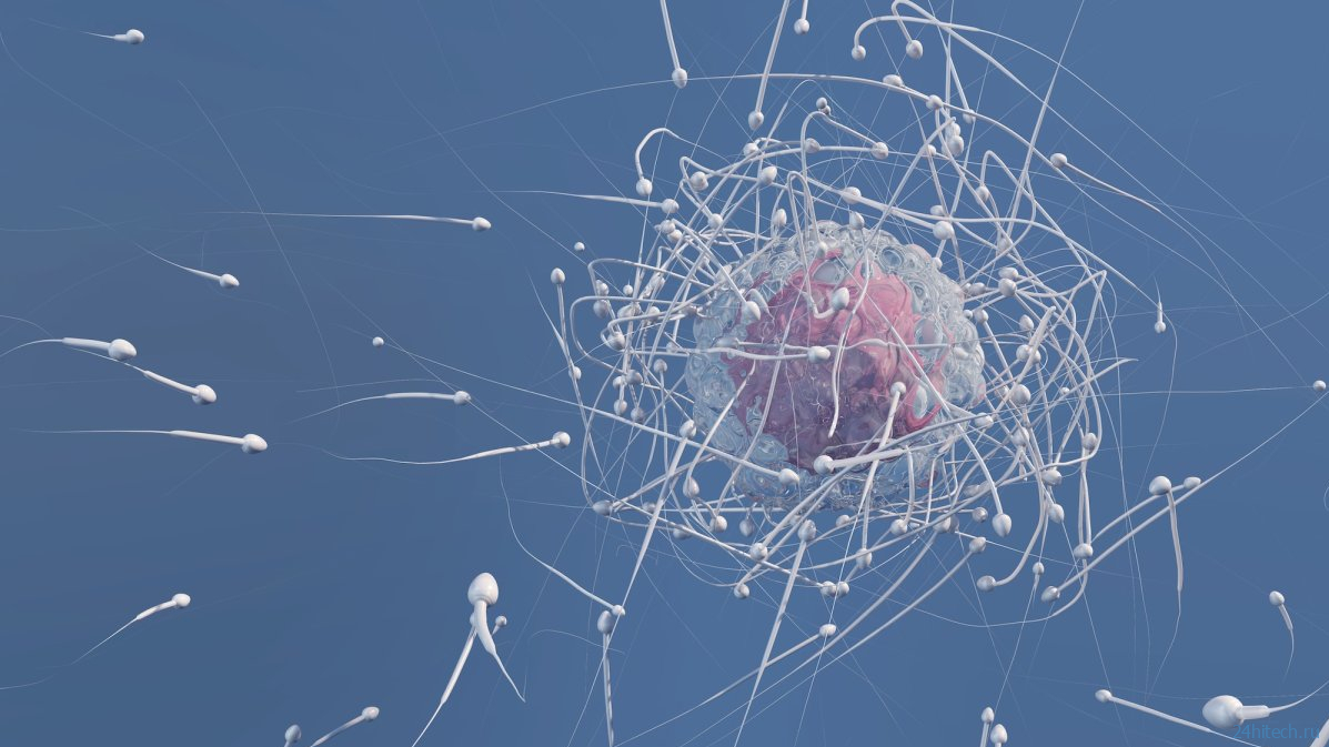 Почему сперматозоиды теряются в невесомости: колонизация Марса под угрозой? Почему сперматозоиды теряются в невесомости: колонизация Марса под угрозой?